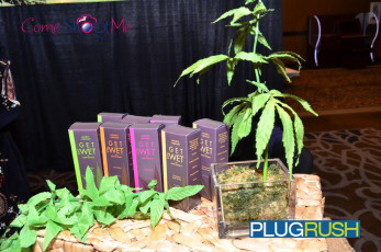 aee-2015-day-1-parties-069