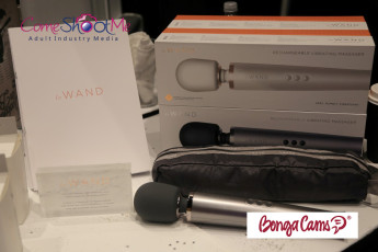 aee-2017-day-2-streamate-168