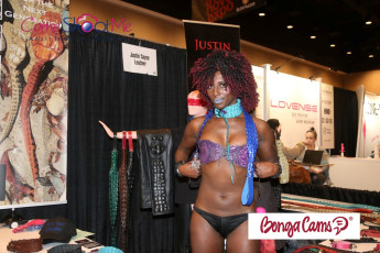 aee-2017-day-2-streamate-276