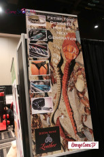 aee-2017-day-2-streamate-283