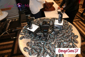 aee-2017-day-2-streamate-386