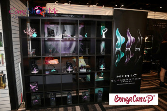 aee-2017-day-2-streamate-441