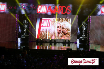 AVN-Awards-2017-0585