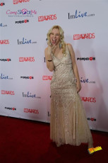 avn-awards-runway-2015-1-0045