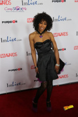 avn-awards-runway-2015-1-0416