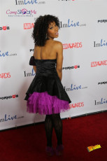 avn-awards-runway-2015-1-0418