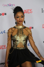 avn-awards-runway-2015-1-0455