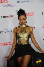 avn-awards-runway-2015-1-0456