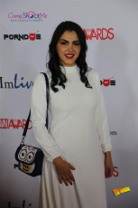 avn-awards-runway-2015-1-0460