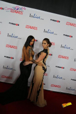 avn-awards-runway-2015-1-0576