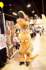 exxxotica-chicago-2016-d1-031