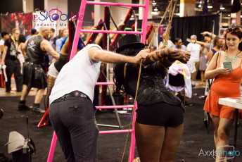 exxxotica-chicago-2016-d1-212