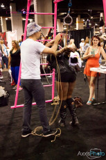 exxxotica-chicago-2016-d1-213