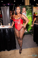 exxxotica-chicago-2016-d2-069