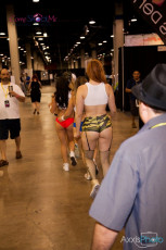 exxxotica-chicago-2016-d3-011