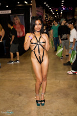 exxxotica-chicago-2017-0379