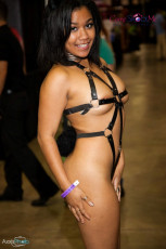 exxxotica-chicago-2017-0381