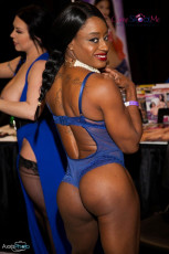 exxxotica-chicago-2017-0563