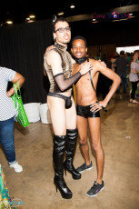 exxxotica-chicago-2017-0660