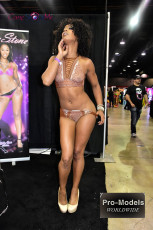 exxxotica-chicago-2017-0792