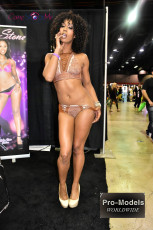 exxxotica-chicago-2017-0793