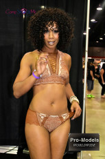 exxxotica-chicago-2017-0794