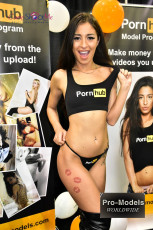 exxxotica-chicago-2017-0801