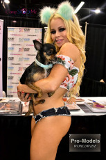 Exxxotica-Chicago-2017-0845