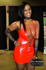 Exxxotica-Chicago-2017-0892