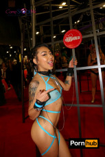 exxxotica-nj-2016-d3-0388