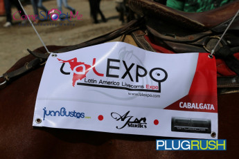 lal-expo-2015-0382