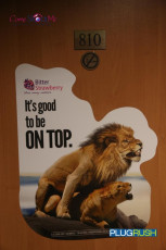 The European Summit Prague 2014