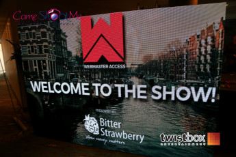 Webmaster Access 2016