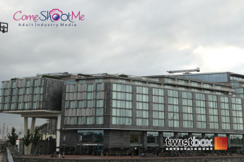 Webmaster Access 2017