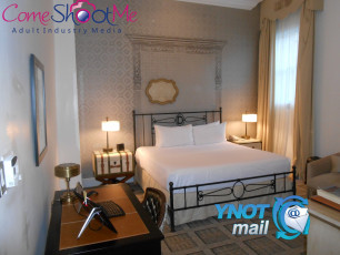 Ynot Party Austin 2016