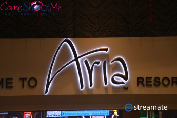 AVN-2019-Streamate-Model-Mixer-002