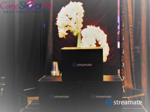 AVN-2019-Streamate-Model-Mixer-008