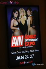 AVN2018-Preday-002