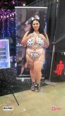 exxxotica-chicago-2023_029