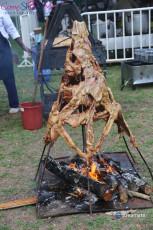 LalExpo2019-StreamateBBQ-036