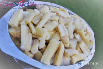 LalExpo2019-StreamateBBQ-135