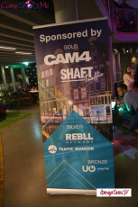 Webmaster Access 2018 Afterparty