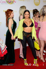 DSC_2055-Luna-Star-2