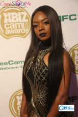 XbizMiami2018-Camawards-044