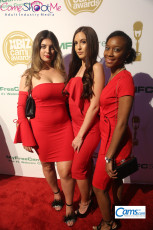 XbizMiami2018-Camawards-190