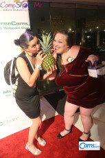 XbizMiami2018-Camawards-467