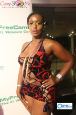 XbizMiami2018-Camawards-539